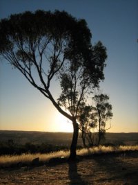 Mt Brown – Picnic & BBQ Area