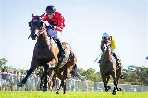 York Racecourse Race Day - 9th October 2025
