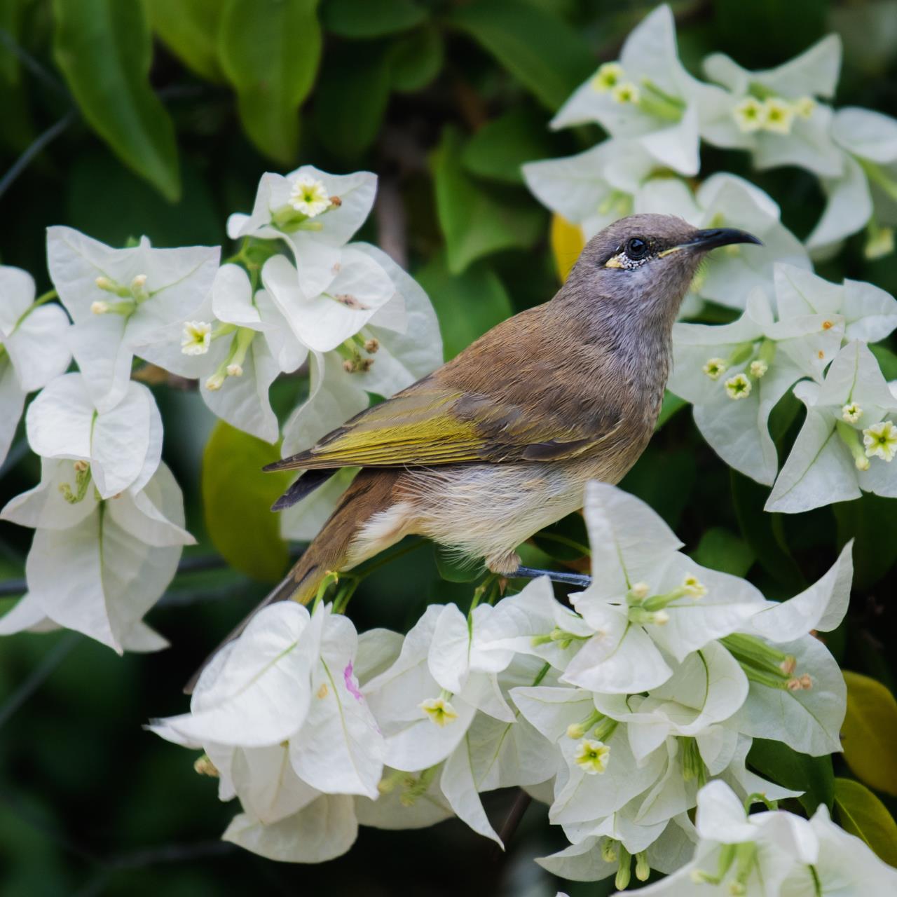 Spring into York - Save the Date