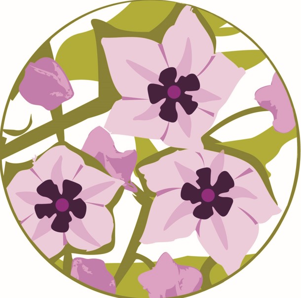 Native Plant Sale - York Branch Wildflower Society of WA