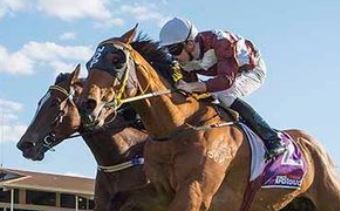 Raceday at York Racecourse