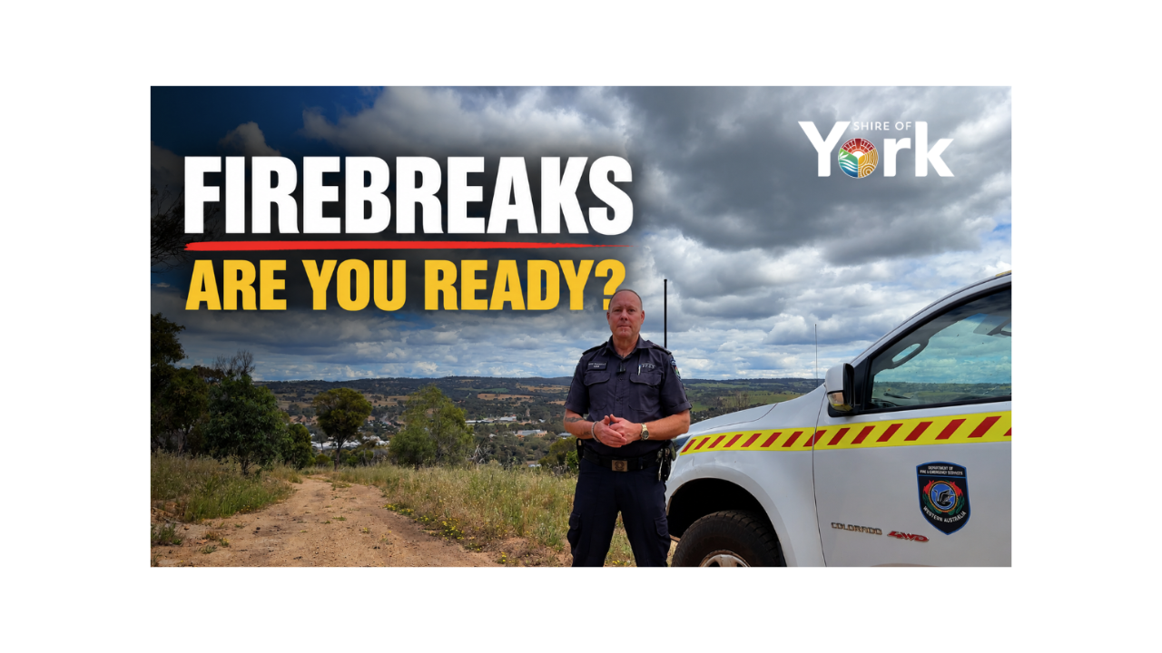 Firebreaks | What You Need to Know
