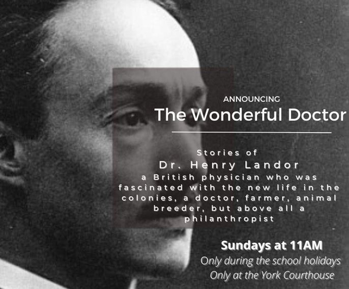 The Wonderful Doctor